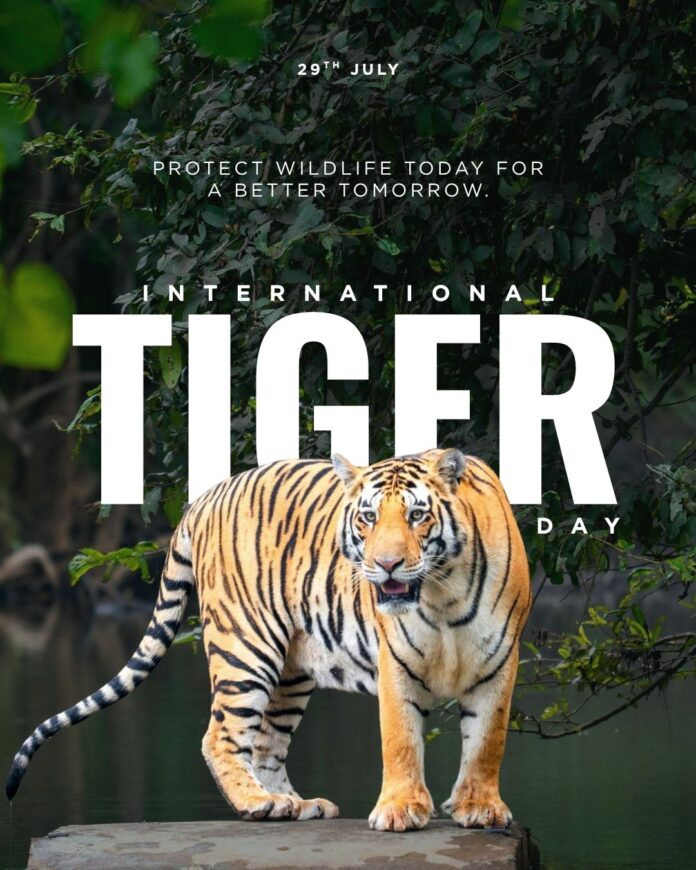 International Tiger Day 2026