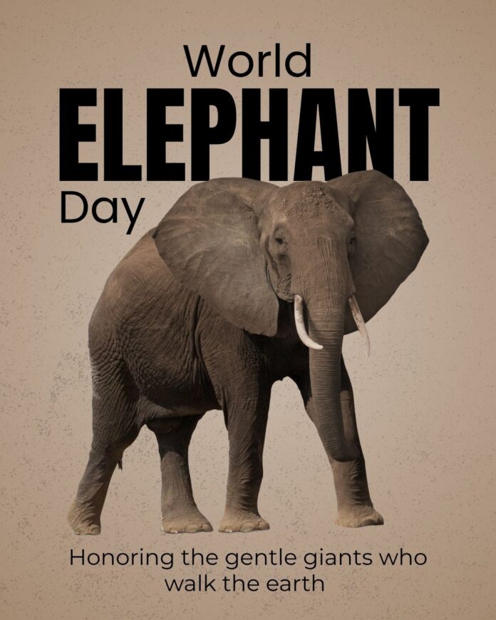 World Elephant Day 2026